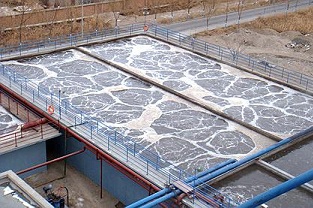 如何除去污廢水中的氮？